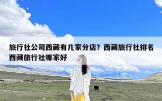 旅行社公司西藏有几家分店？西藏旅行社排名西藏旅行社哪家好